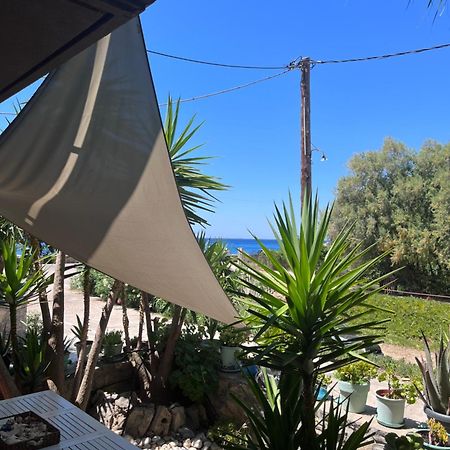 Elena Limnos Beach Volissos المظهر الخارجي الصورة